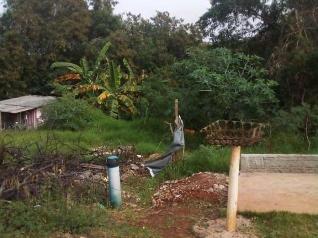 Sítio e chácara venda em Região Geográfica Imediata de Maringá, Maringá