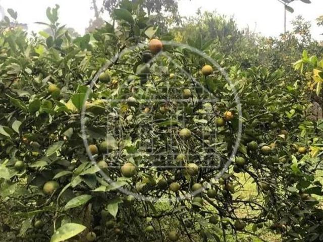 Sítio e chácara venda em Grajaú, São Paulo