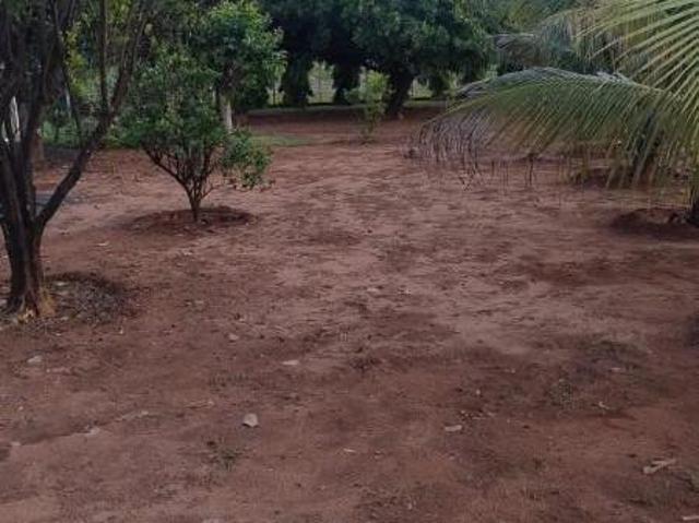 Sítio e chácara venda em Região Imediata de Fernandópolis, Fernandópolis