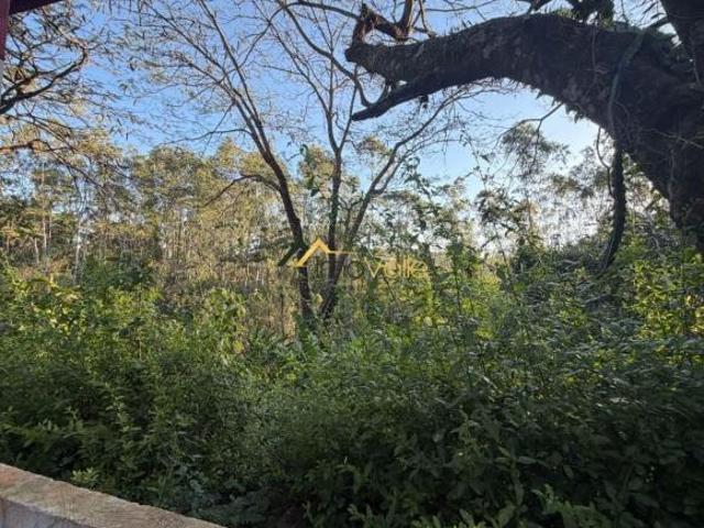 Sítio e chácara venda em São José dos Campos