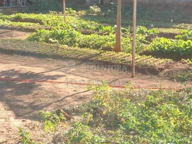 Sítio e chácara venda em Região Imediata de São José do Rio Preto, Região Metropolitana de São José do Rio Preto