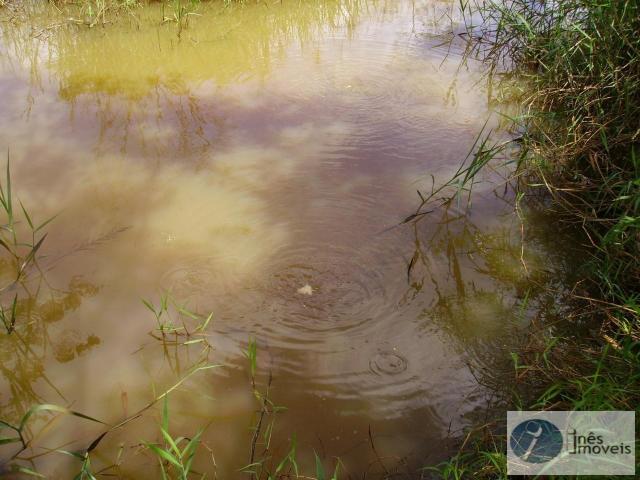 Sítio e chácara venda em Região Imediata de Ribeirão Preto, Região Metropolitana de Ribeirão Preto