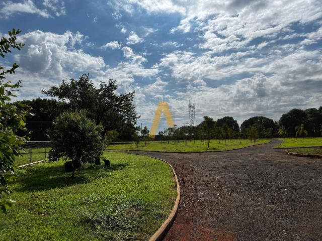 Sítio e chácara venda em Região Imediata de Ribeirão Preto, Região Metropolitana de Ribeirão Preto