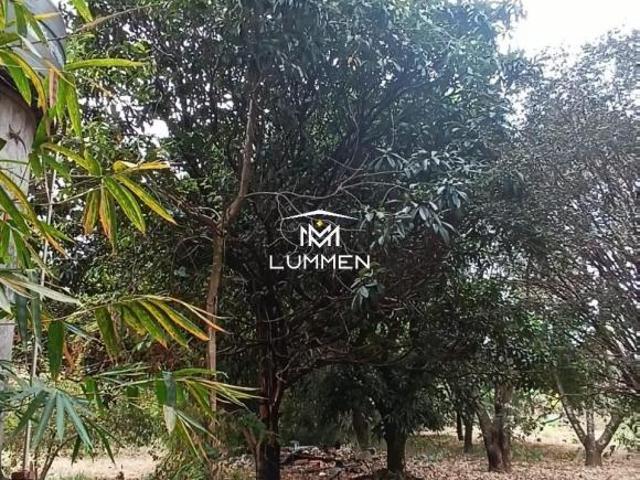 Sítio e chácara venda em Morada do Park, Uberaba