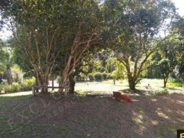 Sítio e chácara venda em Sítio Pinheirinho, Jundiaí