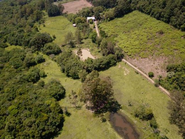 Sítio e chácara venda em Região Geográfica Imediata de Caxias do Sul, Caxias do Sul