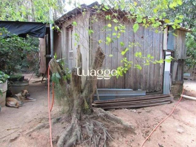Sítio e chácara venda em Região Geográfica Imediata de Porto Alegre, Região Metropolitana de Porto Alegre