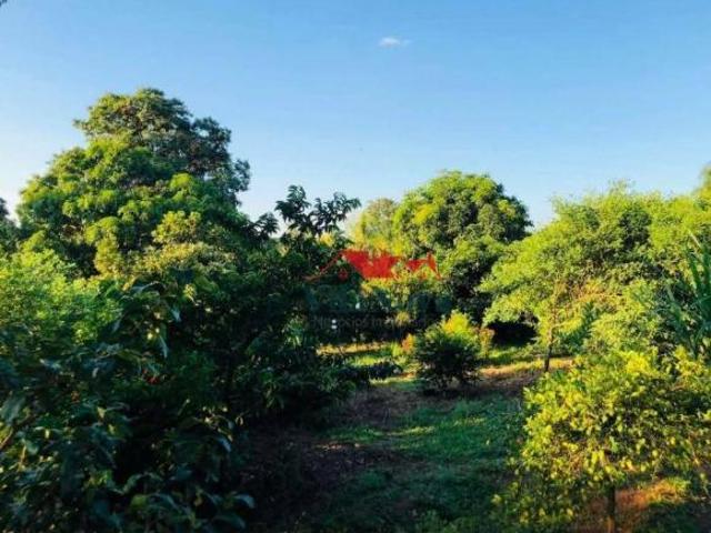 Sítio e chácara venda em Região Imediata de Campinas, Região Metropolitana de Campinas