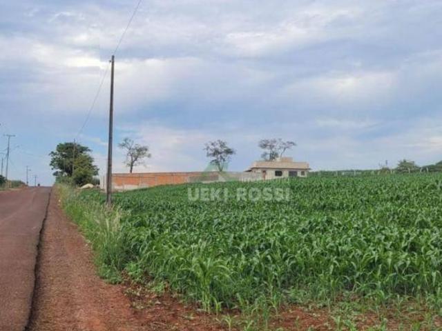Sítio e chácara venda em Região Geográfica Imediata de Londrina, Londrina