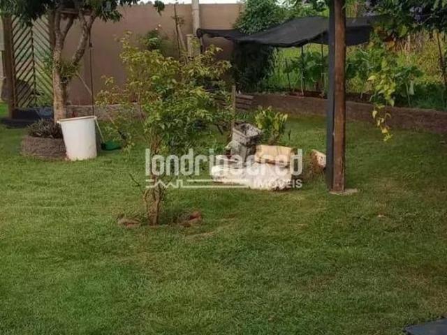 Sítio e chácara venda em Região Geográfica Imediata de Londrina, Londrina