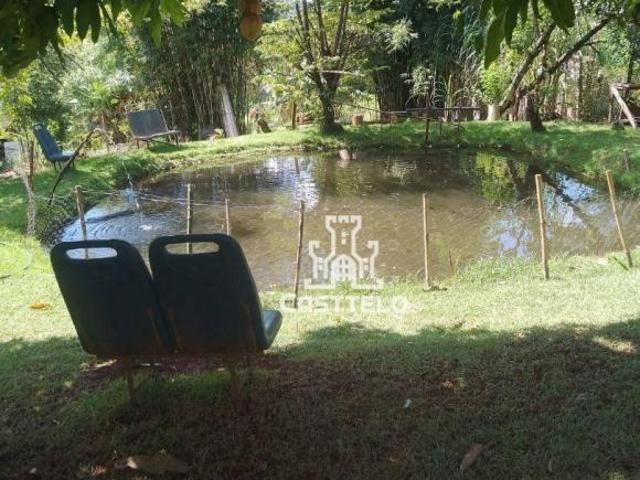 Sítio e chácara venda em Região Geográfica Imediata de Londrina, Londrina