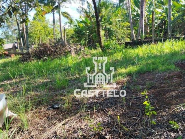 Sítio e chácara venda em Região Geográfica Imediata de Londrina, Londrina