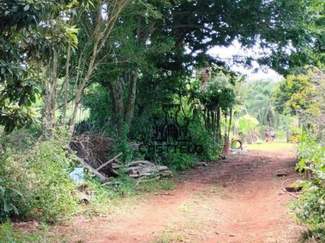 Sítio e chácara venda em Região Geográfica Imediata de Londrina, Londrina