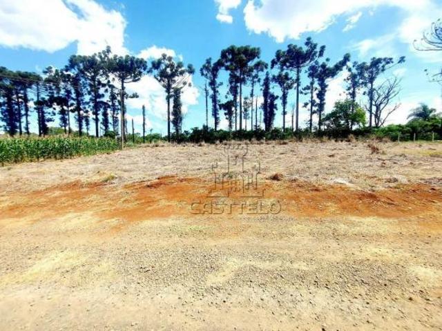 Sítio e chácara venda em Região Geográfica Imediata de Londrina, Londrina