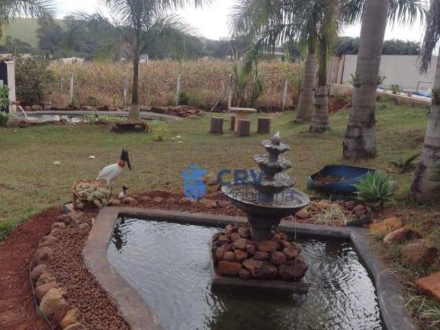 Sítio e chácara venda em Região Geográfica Imediata de Londrina, Londrina