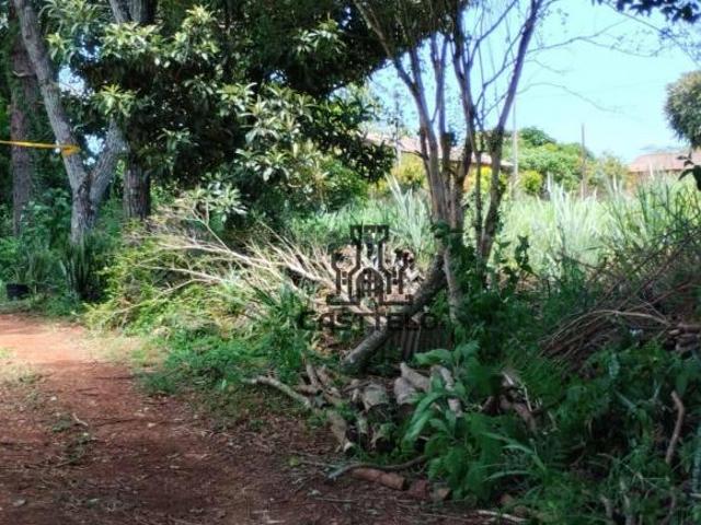 Sítio e chácara venda em Região Geográfica Imediata de Londrina, Londrina