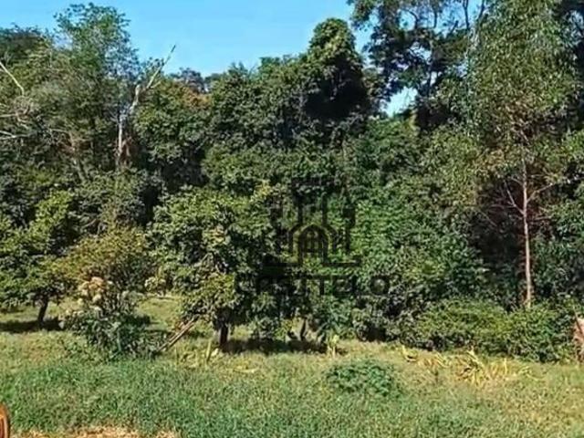 Sítio e chácara venda em Região Geográfica Imediata de Londrina, Londrina