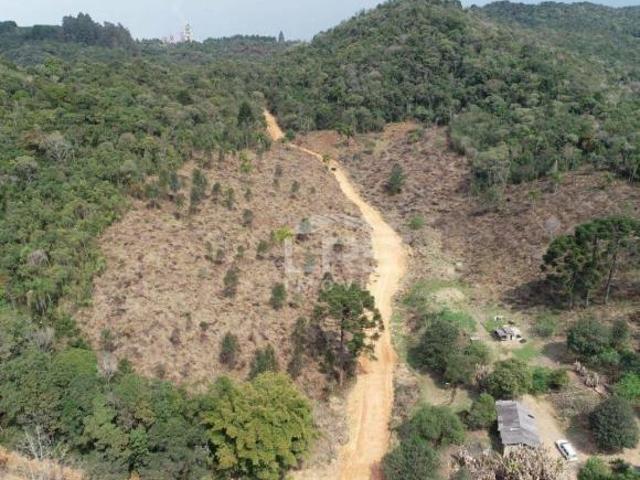 Sítio e chácara venda em Itaboa, Campo Largo