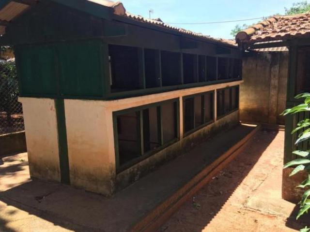 Sítio e chácara venda em Região Imediata de São José do Rio Preto, Região Metropolitana de São José do Rio Preto