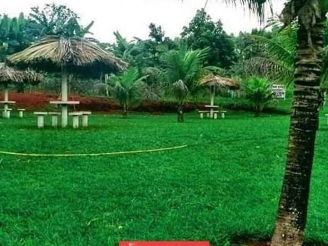 Sítio e chácara venda em Região Geográfica Imediata de Luziânia, Região Integrada de Desenvolvimento do Distrito Federal e Entorno