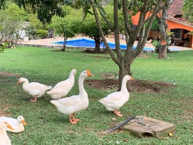 Sítio e chácara venda em Região Imediata de Sorocaba, Região Metropolitana de Sorocaba