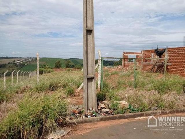 Sítio e chácara venda em Vila Bernadino Bogo, Mandaguaçu