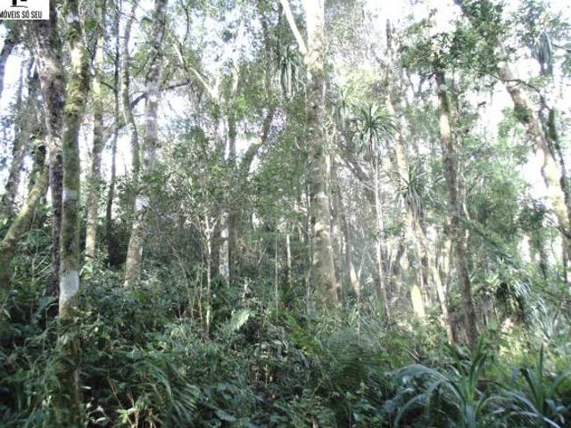 Sítio e chácara venda em Região Geográfica Imediata de Curitiba, Região Metropolitana de Curitiba