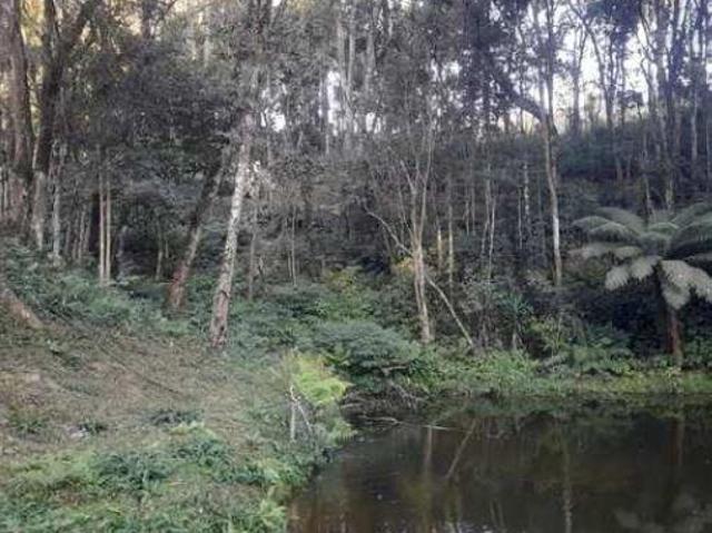 Sítio e chácara venda em Região Geográfica Imediata de Curitiba, Região Metropolitana de Curitiba