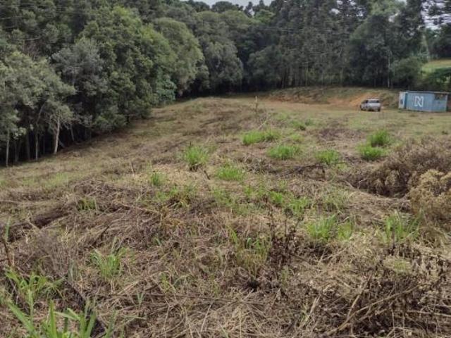 Sítio e chácara venda em Região Geográfica Imediata de Curitiba, Região Metropolitana de Curitiba