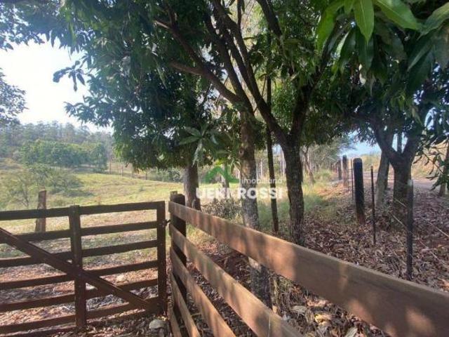 Sítio e chácara venda em Região Geográfica Imediata de Londrina, Londrina