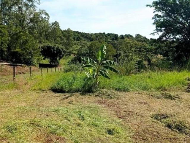 Sítio e chácara venda em Região Geográfica Imediata de Londrina, Londrina