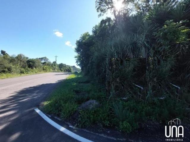 Sítio e chácara venda em São Pedro, Bento Gonçalves