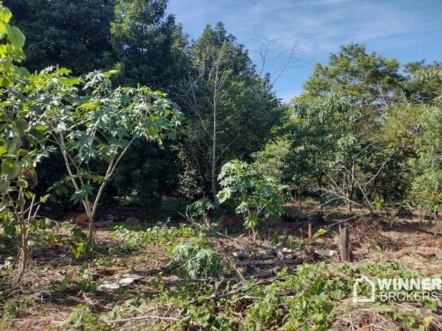 Sítio e chácara venda em Região Geográfica Imediata de Maringá, Marialva
