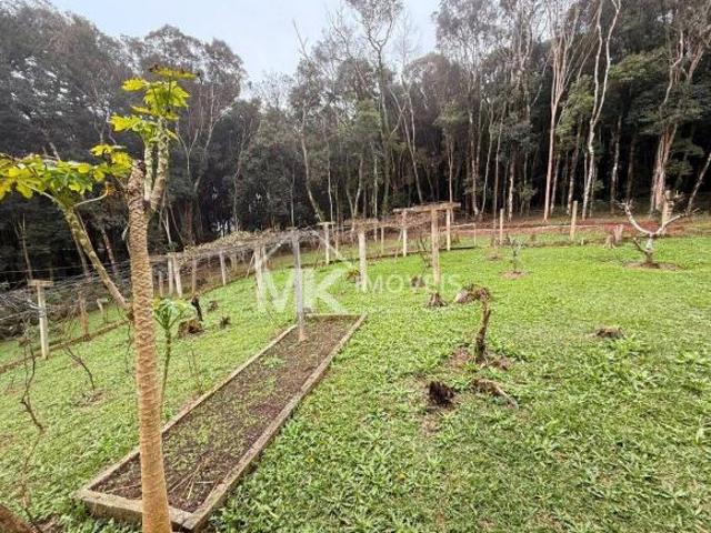 Sítio e chácara venda em Região Geográfica Imediata de Curitiba, Região Metropolitana de Curitiba
