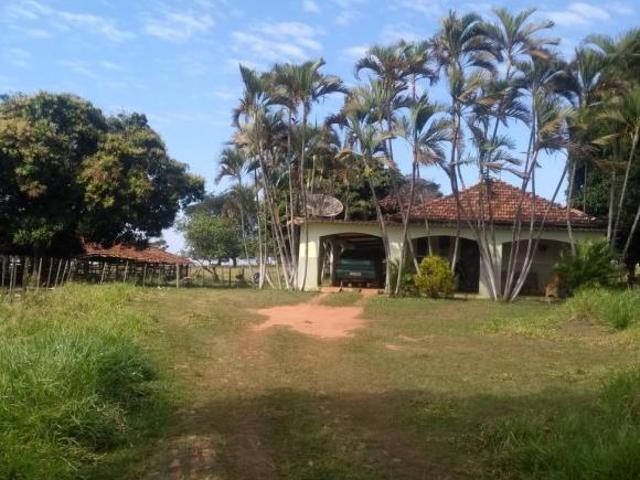 Sítio e chácara venda em Região Imediata de Presidente Prudente, Martinópolis