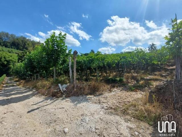 Sítio e chácara venda em Vale dos Vinhedos, Bento Gonçalves