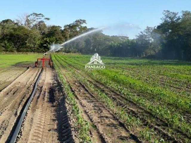 Sítio e chácara venda em Santo Antônio de Leverger, Região Geográfica Intermediária de Cuiabá