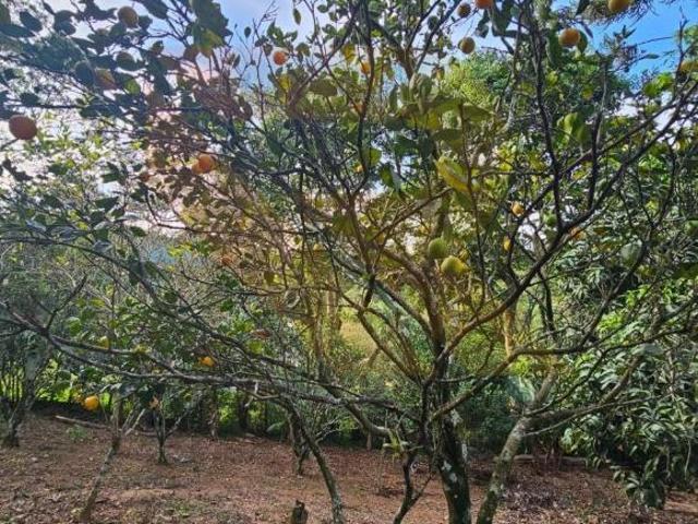 Sítio e chácara venda em Região Imediata de São Paulo, Região Metropolitana de São Paulo