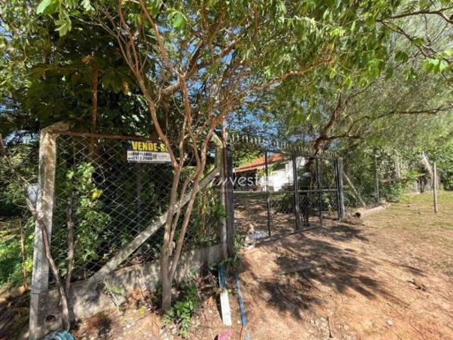 Sítio e chácara venda em Mirassol