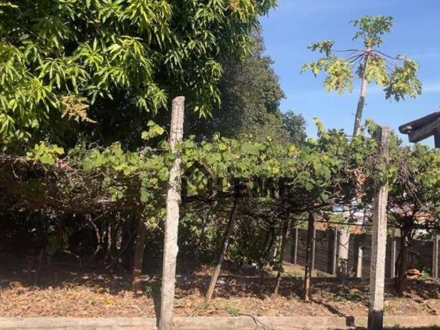Sítio e chácara venda em Região Imediata de São José do Rio Pardo-Mococa, Região Metropolitana de Ribeirão Preto