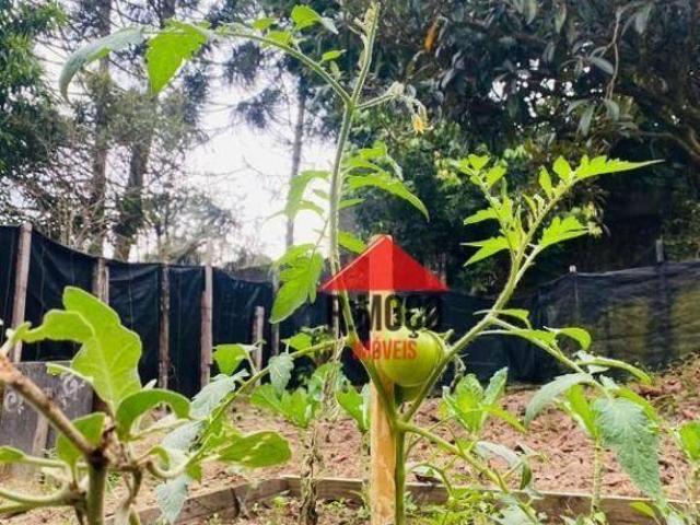 Sítio e chácara venda em Região Imediata de São Paulo, Região Metropolitana de São Paulo