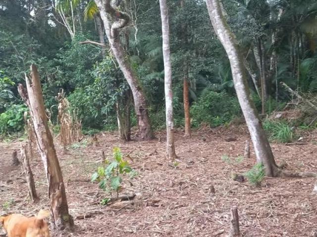 Sítio e chácara venda em Biritiba-Ussu, Região Imediata de São Paulo