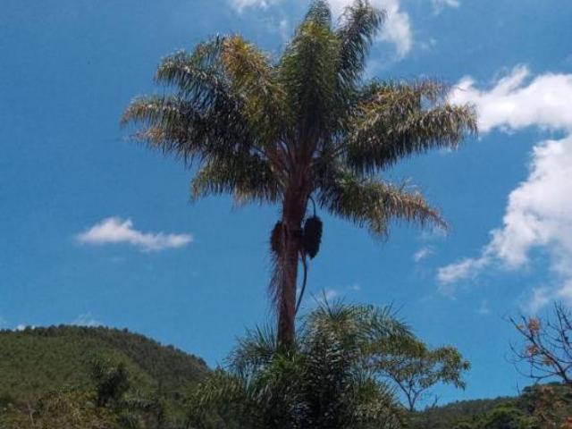Sítio e chácara venda em Jardim Camila, Mogi das Cruzes