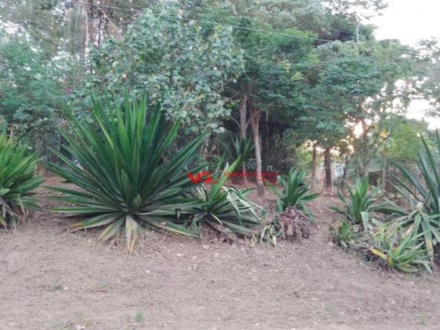 Sítio e chácara venda em Monte Mor