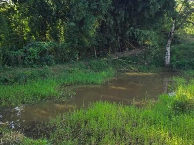 Sítio e chácara venda em Monte Santo de Minas, Região Geográfica Intermediária de Varginha
