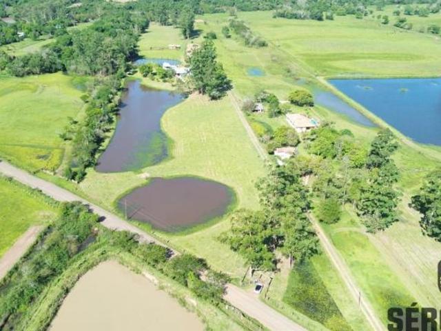 Sítio e chácara venda em Região Geográfica Imediata de Montenegro, Região Metropolitana de Porto Alegre