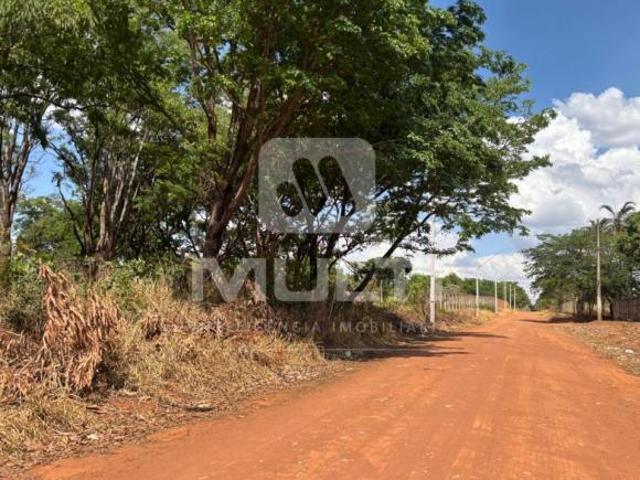 Sítio e chácara venda em Região Geográfica Imediata de Uberlândia, Oliveira Fortes