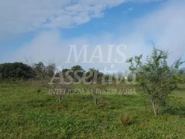 Sítio e chácara venda em Morungava, Gravataí