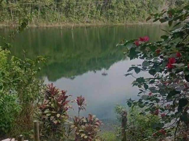 Sítio e chácara venda em Região Imediata de Taubaté-Pindamonhangaba, Região Metropolitana do Vale do Paraíba e Litoral Norte