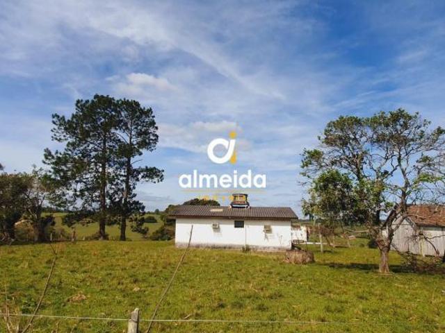 Sítio e chácara venda em Região Geográfica Imediata de Santa Maria, Santa Maria
